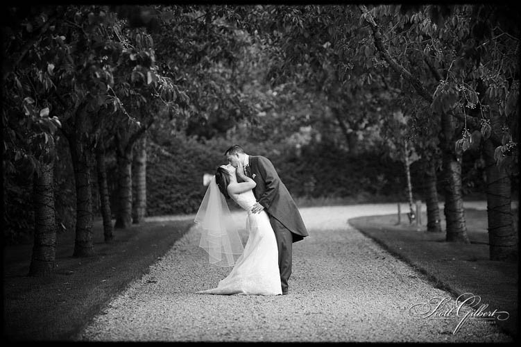 &copy; Scott Gilbert