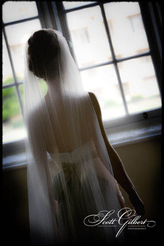 &copy; Scott Gilbert