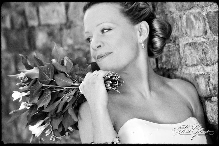 &copy; Scott Gilbert