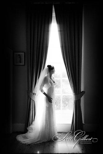 &copy; Scott Gilbert