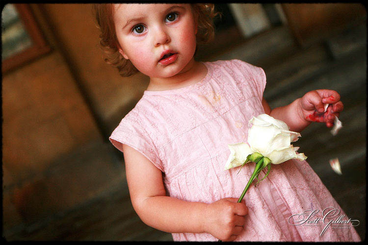 &copy; Scott Gilbert