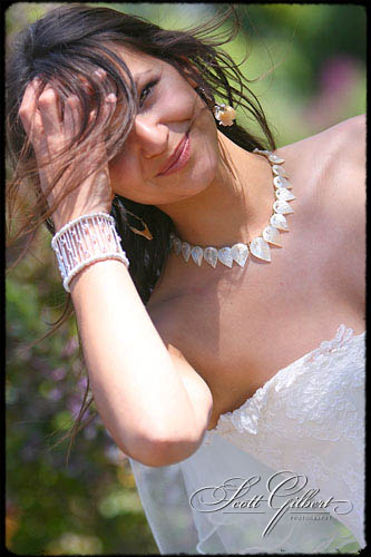 &copy; Scott Gilbert