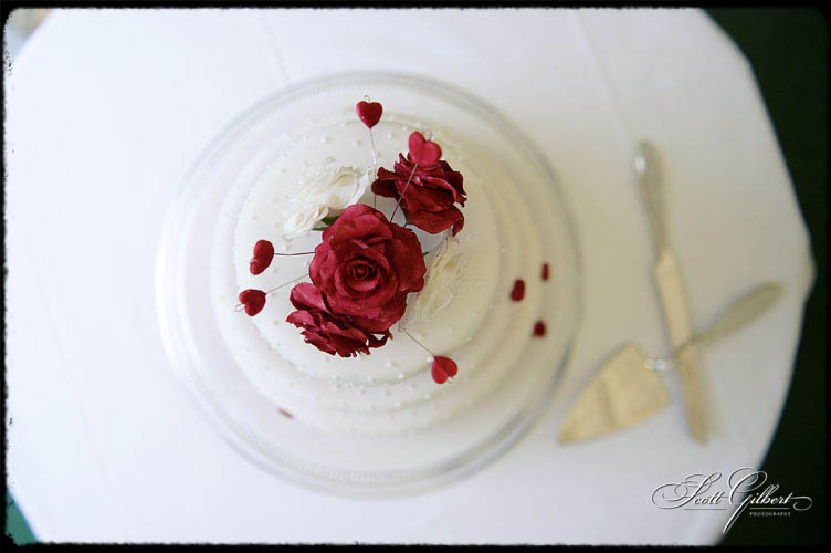 &copy; Scott Gilbert