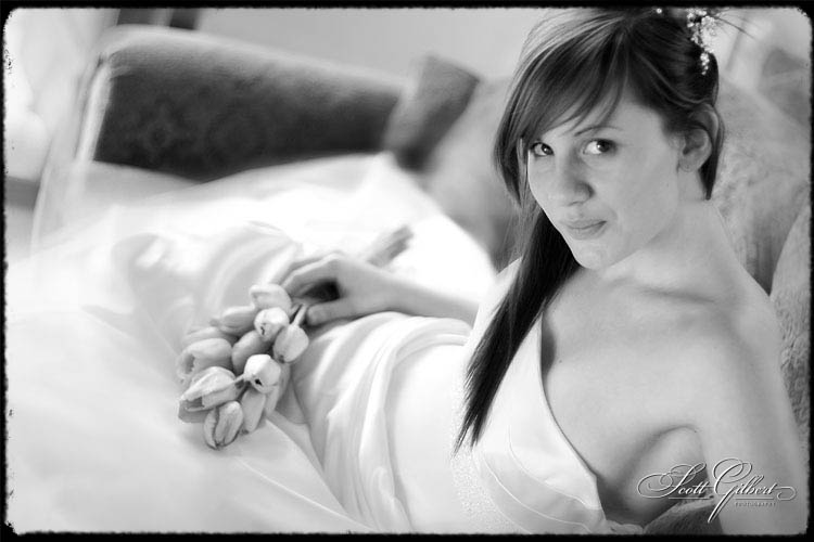 &copy; Scott Gilbert