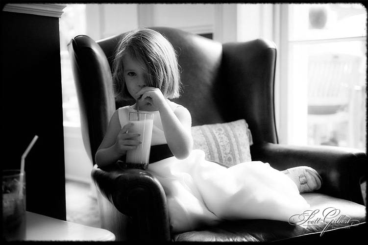 &copy; Scott Gilbert