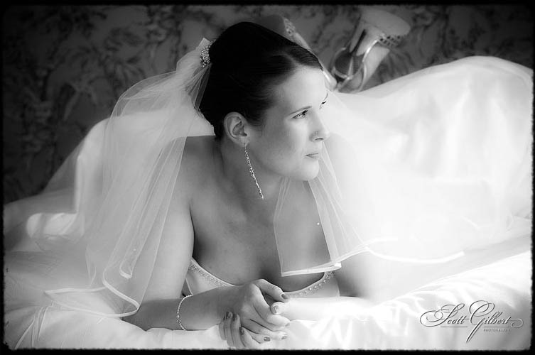 &copy; Scott Gilbert